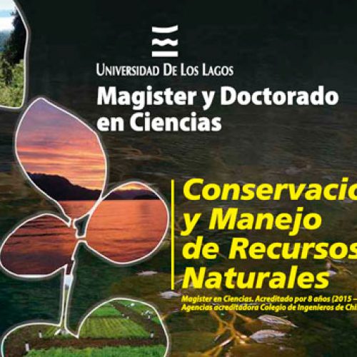 Magister y Doctorado Universidad de los Lagos