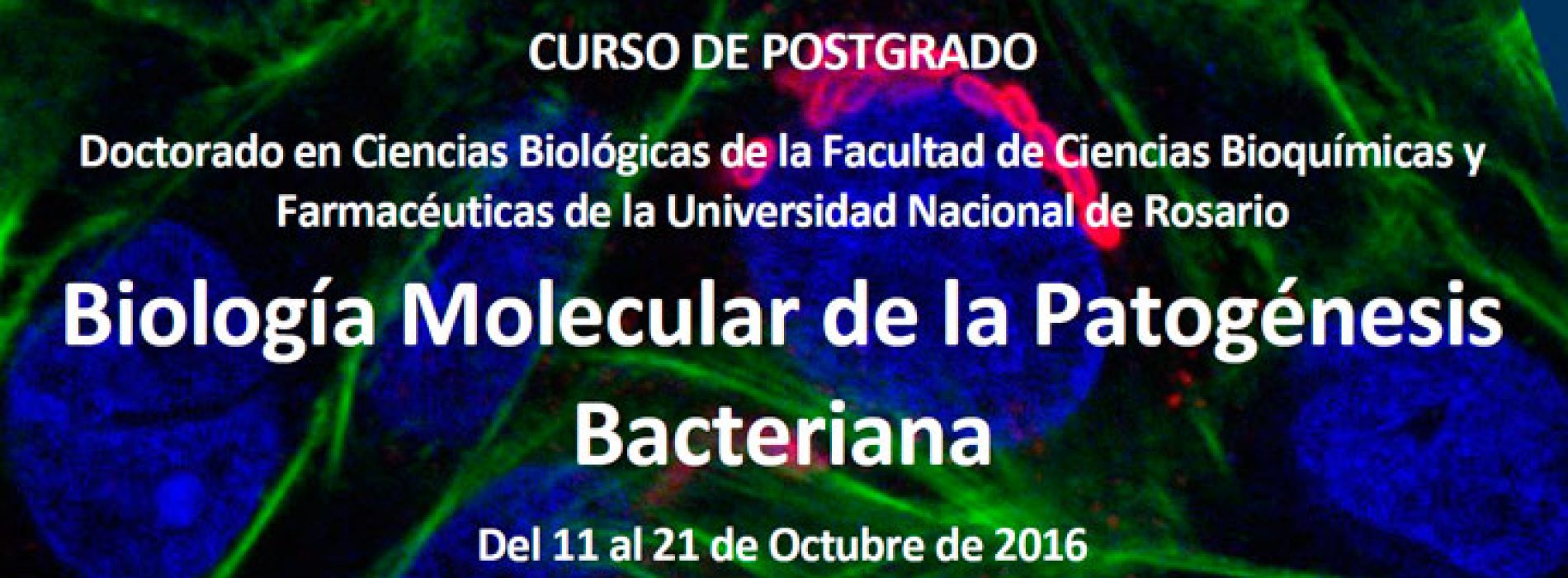 Curso de Postgrado: Biología Molecular de la Patogénesis Bacteriana