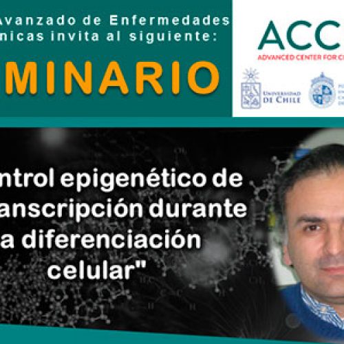 Control epigenético de la transcripción durante la diferenciación celular