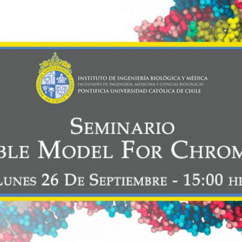 Seminario IIBM-UC José N. Onuchic: “A Transferable Model for Chromatin Folding”