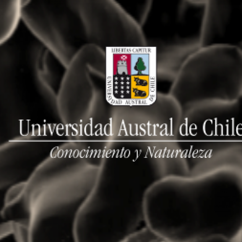 Doctorado en Ciencias mención Biología Celular y Molecular – Admision 2017
