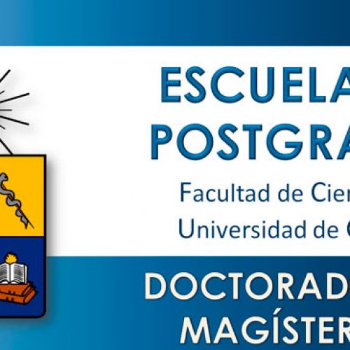 Escuela de Postgrado: Doctorados y Magísteres