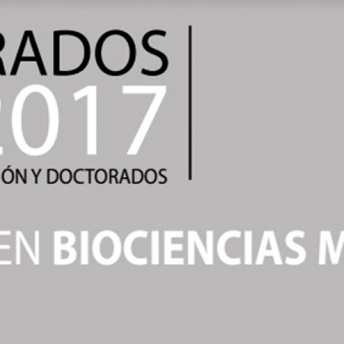 Doctorado en Biociencias Moleculares de la Universidad Andrés Bello