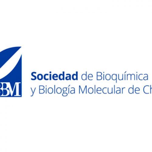 Viernes último día de inscripción a cena de Sociedad