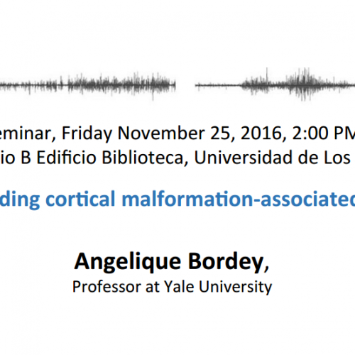 Understanding cortical malformation-associated epilepsy