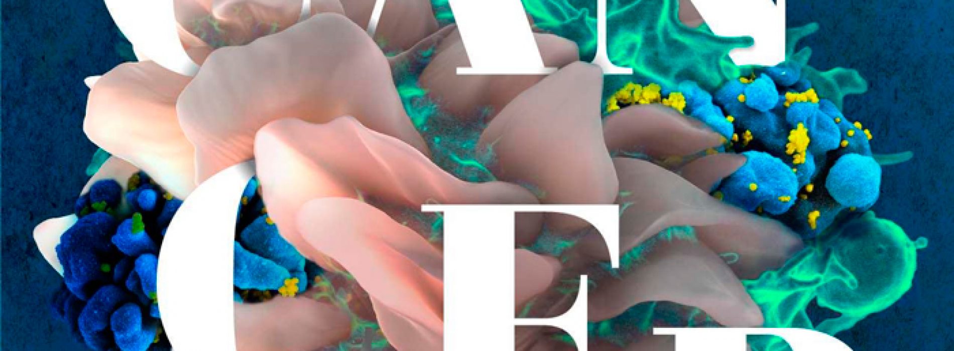 Diciembre 15: International Symposium: Bright Present and Future of Cancer Immunotherapy