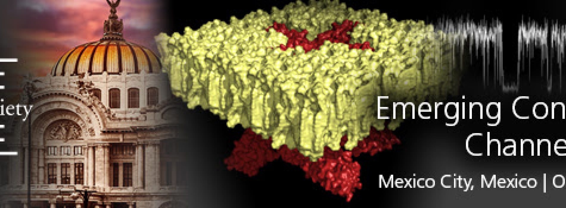 Emerging Concepts in Ion Channel Biophysics – Mexico City, Mexico