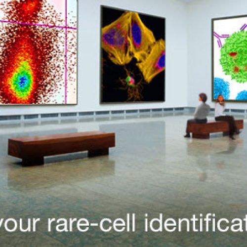 Webinar – Multiparameter flow cytometry