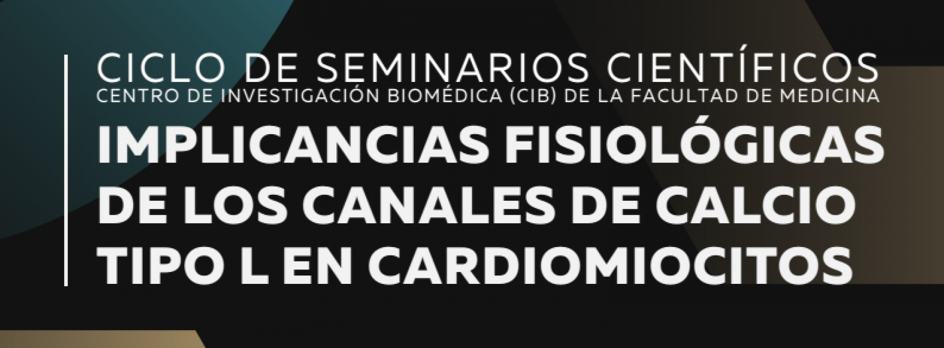 Invitation to the cycle of seminars scientific of the CIB UDP, Thursday 15 of December "implications physiological of those channels of calcium type L in cardiomyocytes". (By Dr. Diego Varela)