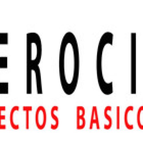 1er Workshop Gerociencia: Aspectos Básicos y Clínicos