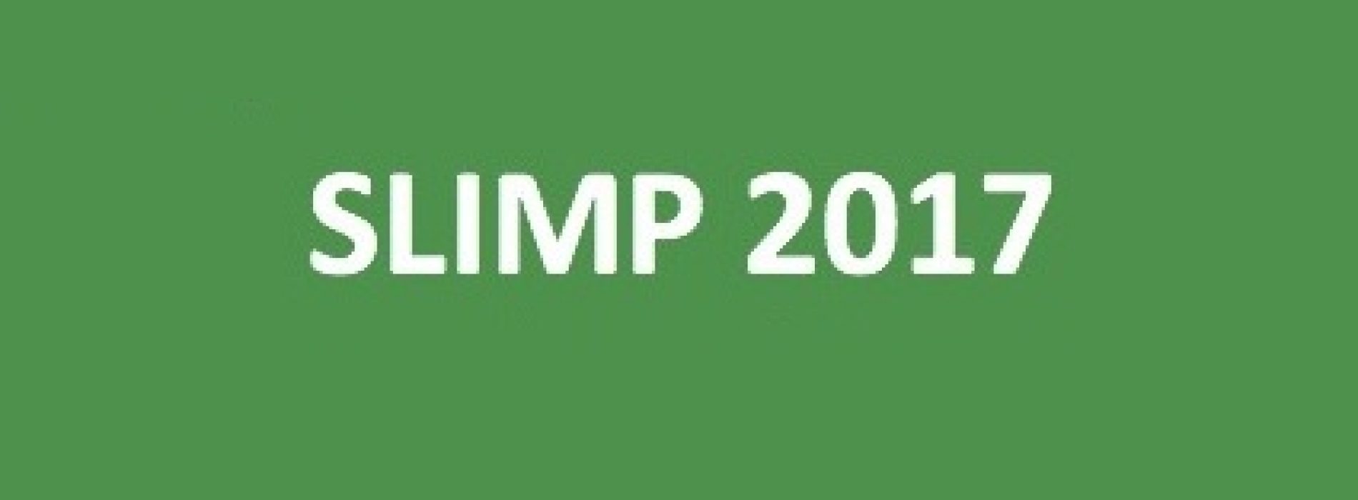 SLIMP 2017 SCHCF joint meeting CHILE
