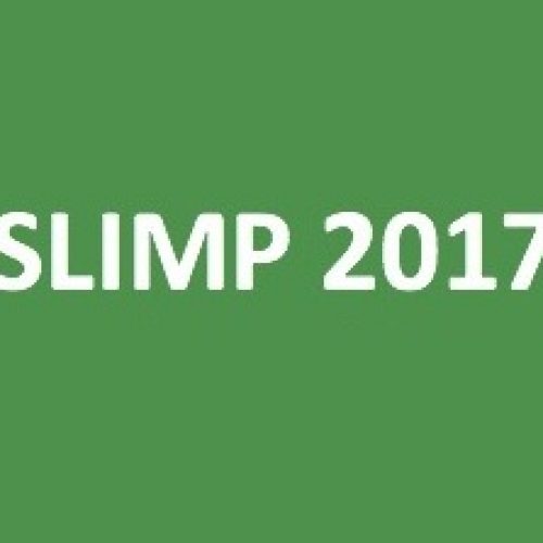SLIMP 2017 SCHCF joint meeting CHILE