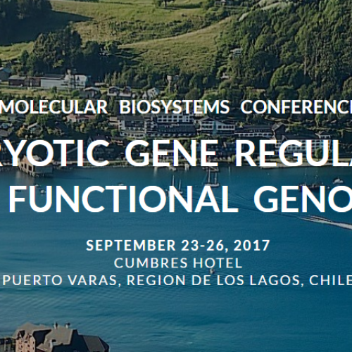 Molecular Biosystems Conference