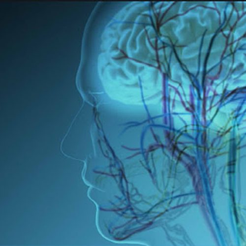 Jornada «HACIA UNA VISIÓN ENCARNADA DE LA CONCIENCIA: INTEROCEPCIÓN, SELF Y NEUROFENOMENOLOGÍA»