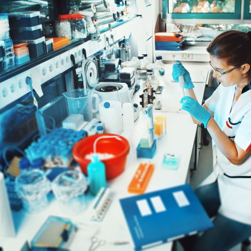 CONICYT ANNOUNCES THE OPENING OF NOMINATIONS FOR THE INCLUSION OF RESEARCHERS COMPETITION AT THE ACADEMY