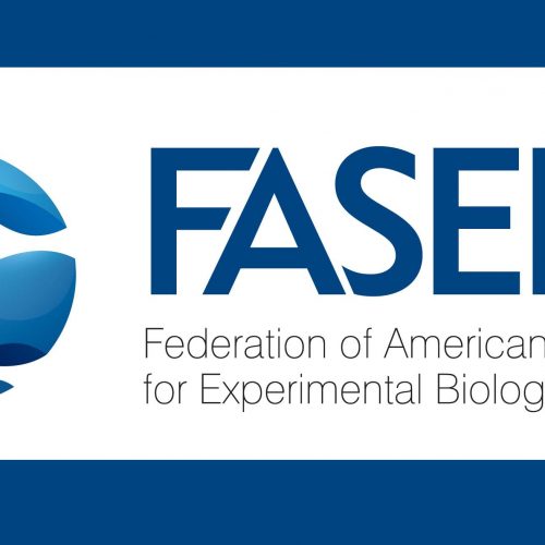 Two More Weeks to Submit Excellence in Science Award Nominations