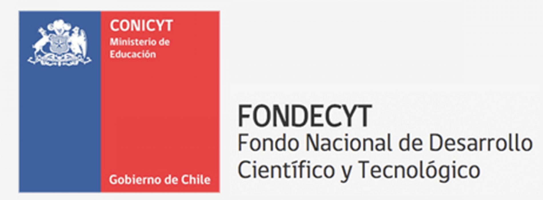 DOCTOR MARTIN MONTECINO IS ELECTED NEW PRESIDENT OF THE CONSEJO SUPERIOR DE FONDECYT SCIENCE