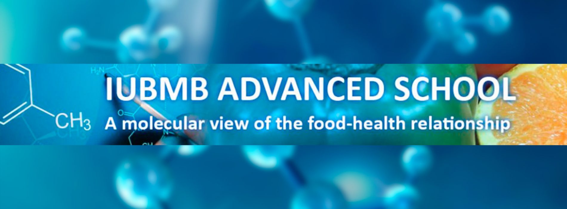 Curso IUBMB «Molecular aspects of the food-health relationship
