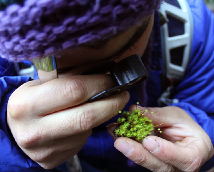 Tinker Field Research Symposium Sociedad de Bioquímica y Biología