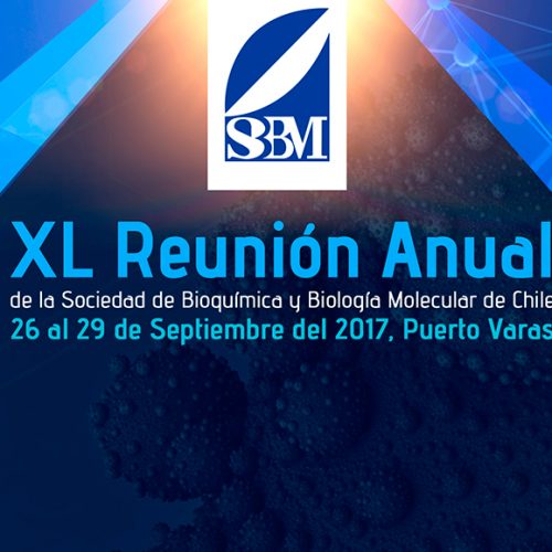 SEE POSTER of the XL Annual meeting of the Society of Biochemistry and Molecular biology