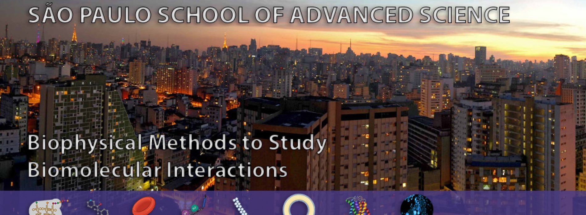 Programa curso São Paulo Advanced School of Science on Biophysical Methods to Study Biomolecular Interactions