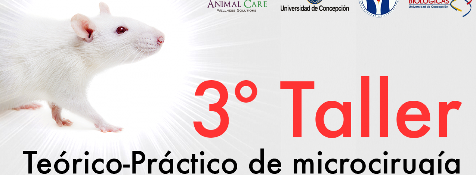 «TALLER DE MICROCIRUGÍA EN ANIMALES DE INVESTIGACIÓN” – Universidad de Concepción. QUEDA 1 SEMANA