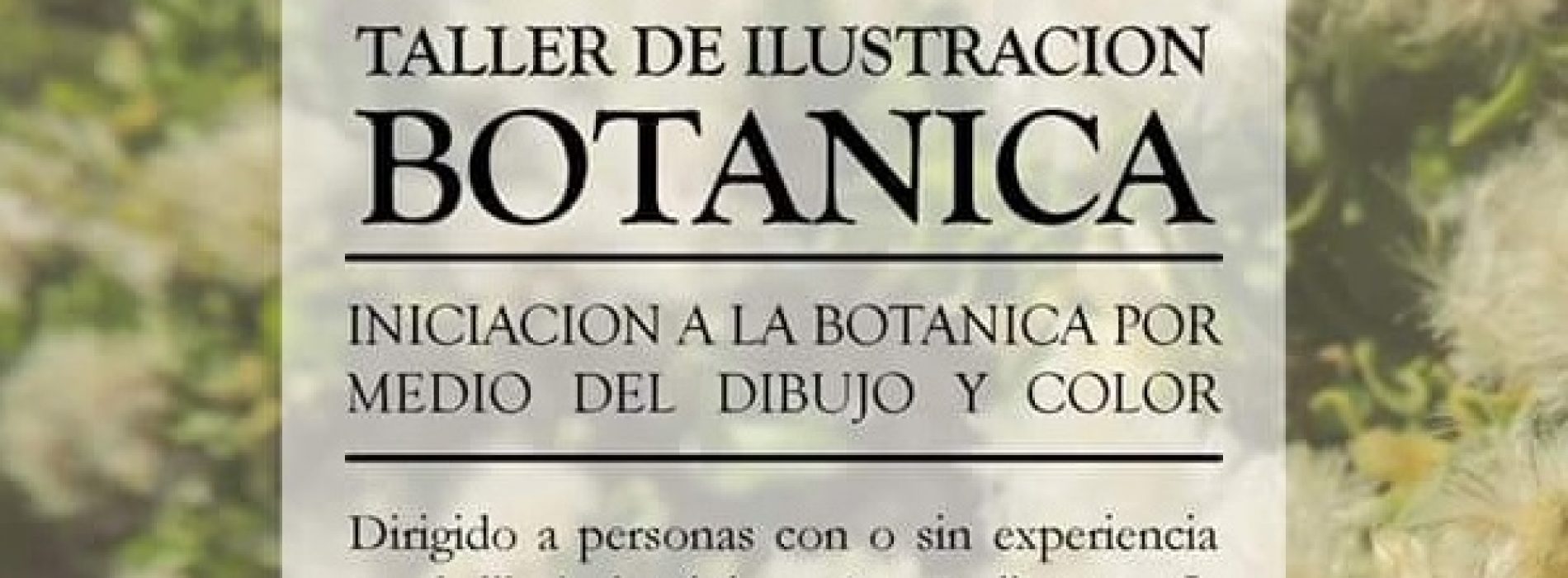 Taller de ilustración botanica