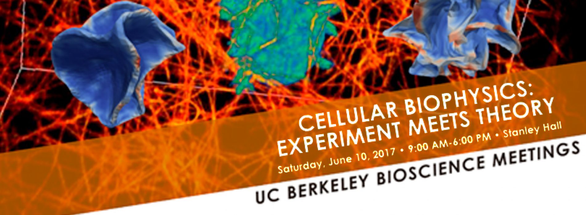 Cellular Biophysics: Experiment meets Theory – June 10 – Sign up now!