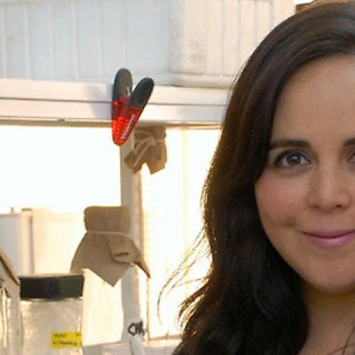 Dr. Fabiola Osorio: "this award motivates me to me as a scientist, I hope that it also motivates many young researchers of our country".
