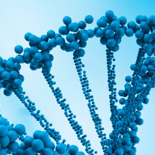 3rd Circular VII Conference of Biochemistry and Molecular Biology of lipids and lipoproteins