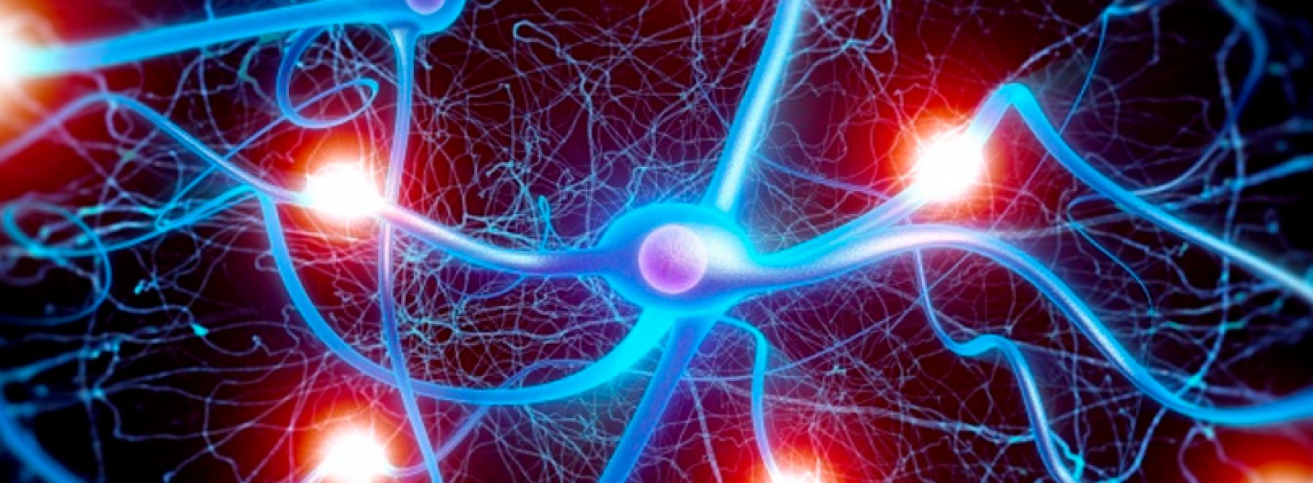 2nd school Nu-MIND for teachers: updates in neurobiology