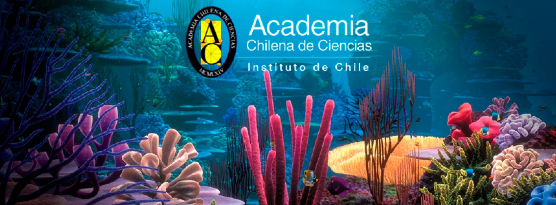 Wednesday at the Academy: "the conservation of our ocean: advances, debt and the commitment of our society"