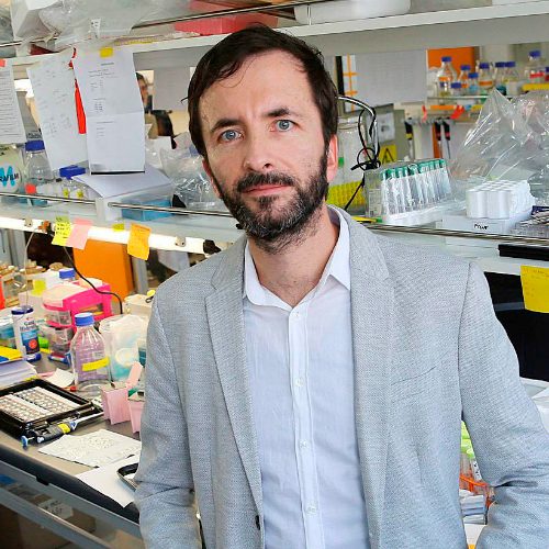 Científico prueba en Chile rapalogs para controlar el Parkinson