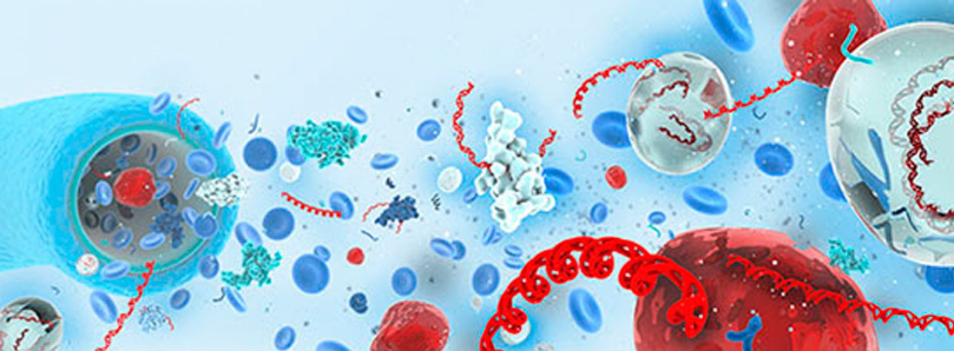Attend the webinar series: Overcoming Circulating DNA Challenges