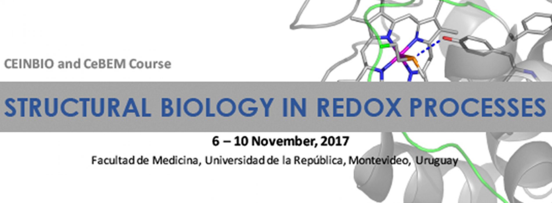 Curso CeBEM en Biología Estructural de Procesos Redox, Montevideo, Nov 2017