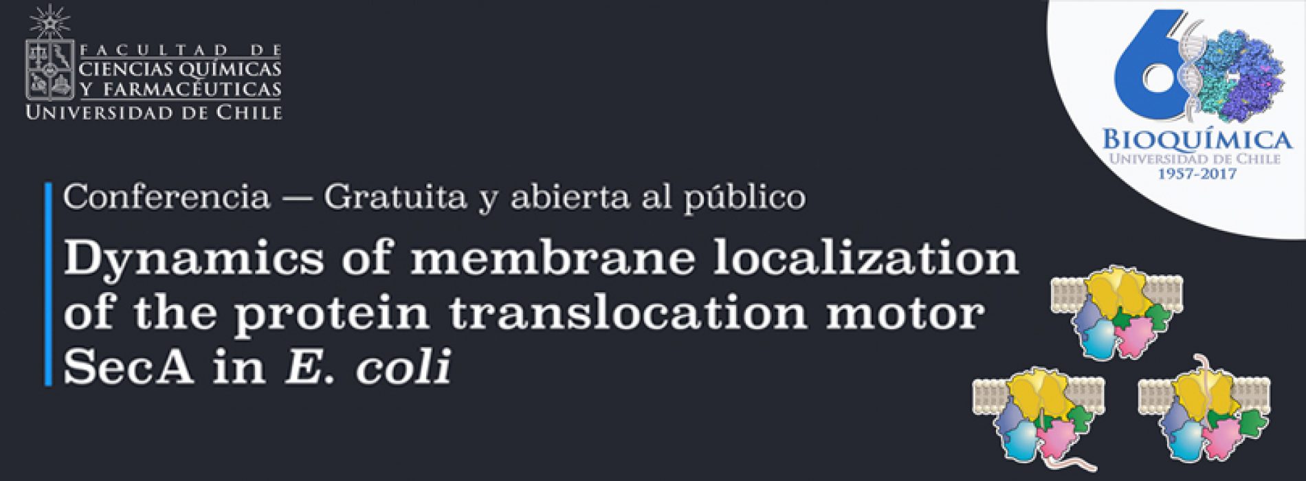 Conferencia “Dynamics of membrane localization of the protein translocation motor SecA in E. coli”