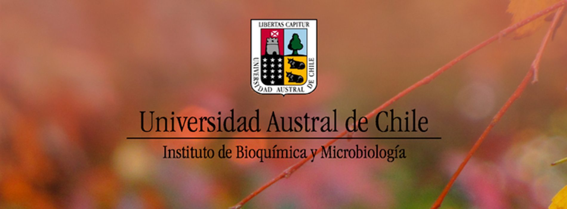 "Regulation of CPEB" seminar on the Messenger of the receiver of insulin in Diabetes