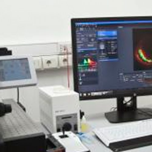 Curso Avanzado de Microscopía Confocal de Barrido Láser
