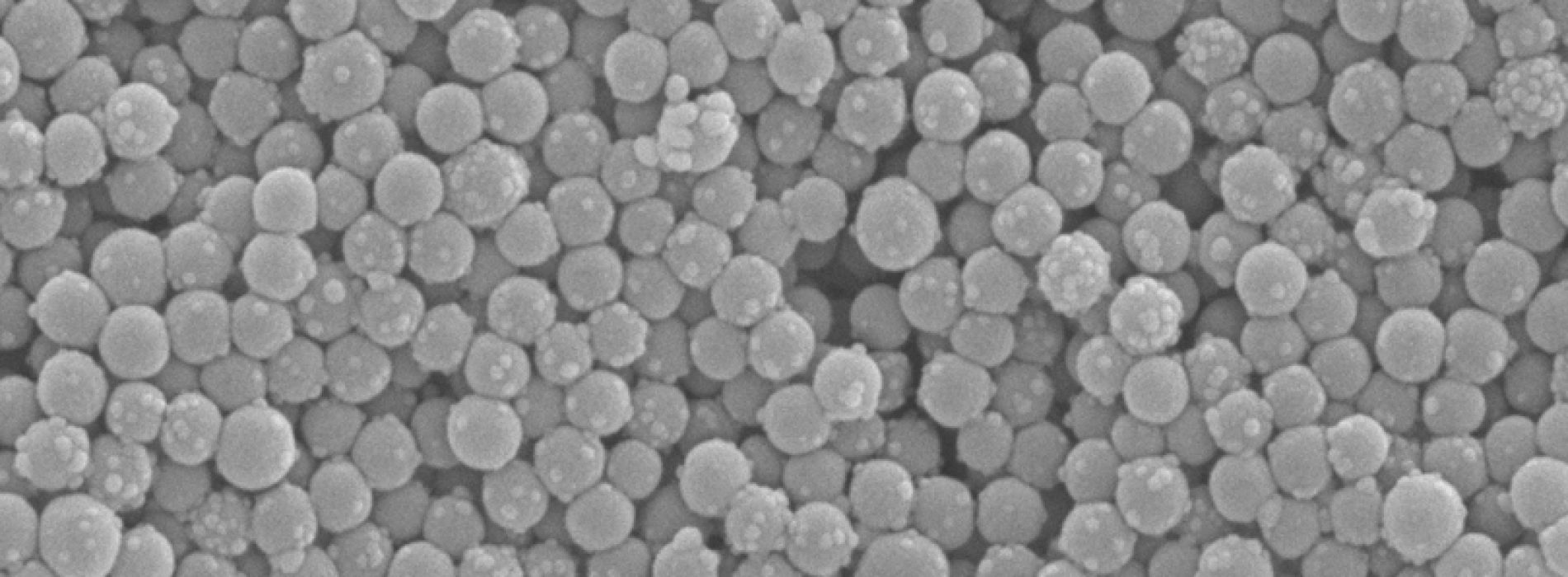Seminario «A popular antibacterial nanoparticle»