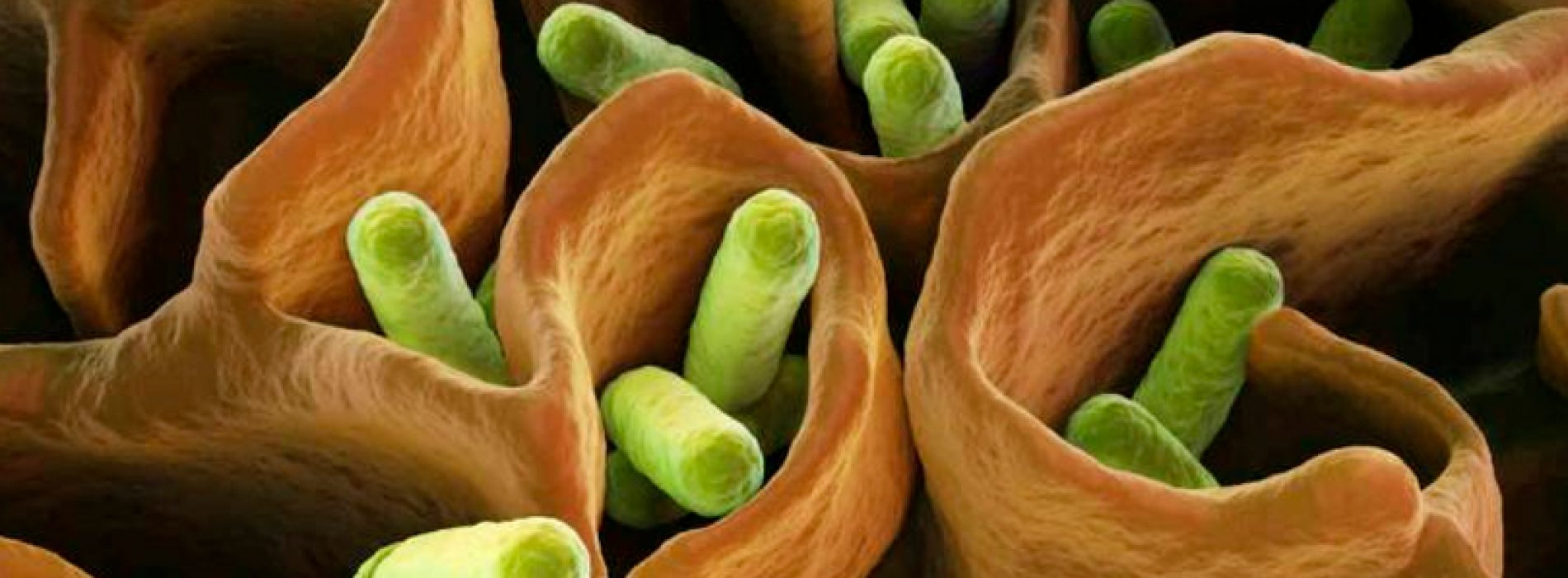 Course of antimicrobial resistance: multidisciplinary confrontation for the future