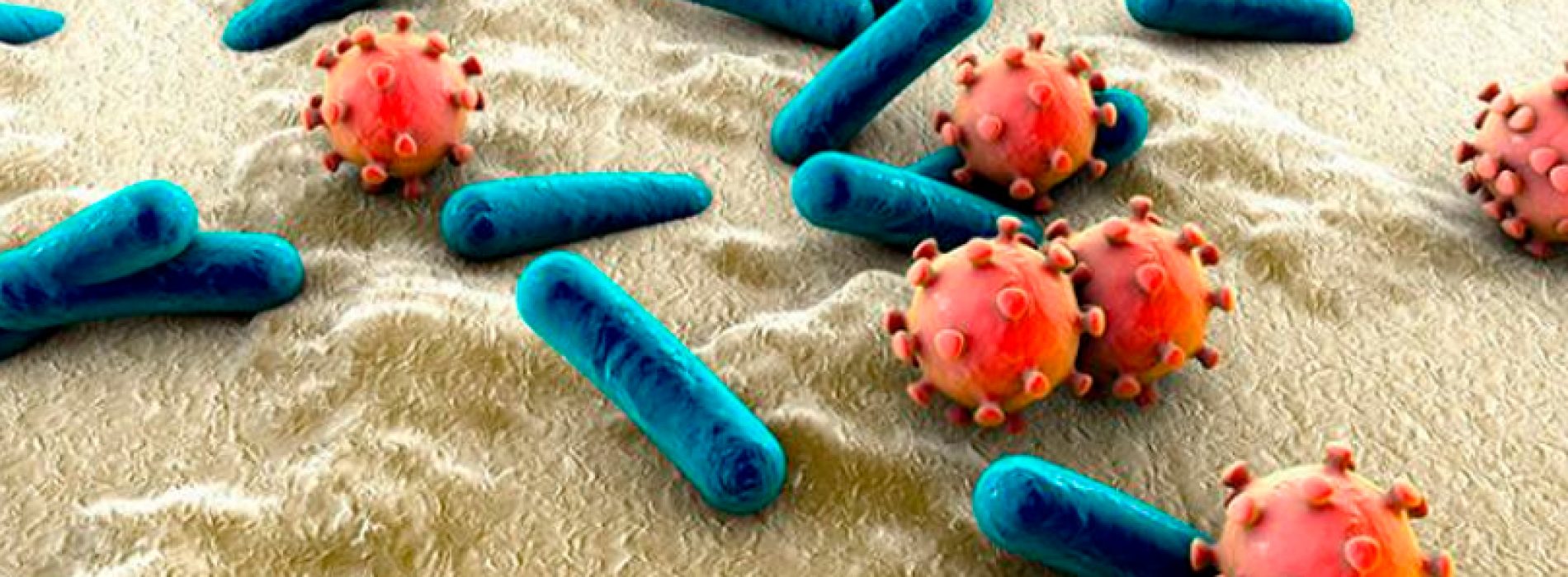 Actividades educativas sochimi, mes de la sepsis