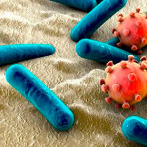 Actividades educativas sochimi, mes de la sepsis