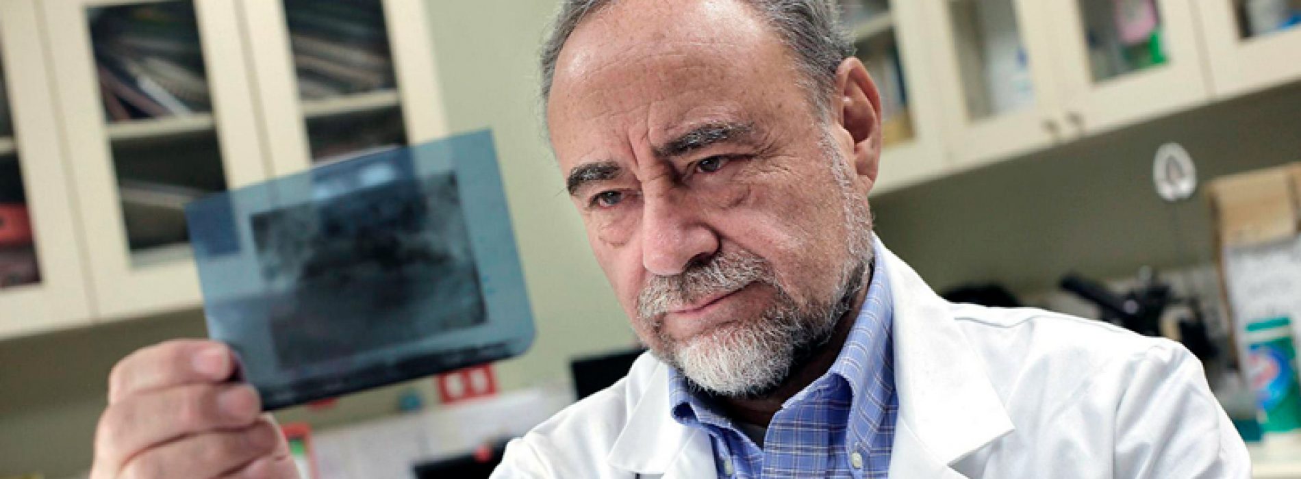 Este doctor hizo la prueba en ratones: el litio disminuye desarrollo del Alzheimer