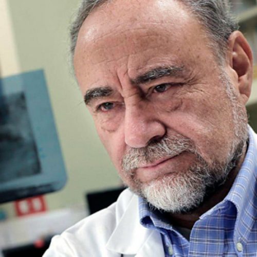 Este doctor hizo la prueba en ratones: el litio disminuye desarrollo del Alzheimer