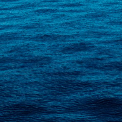 Usted sabe que no debe tomar agua de mar (pero no lo recuerda)