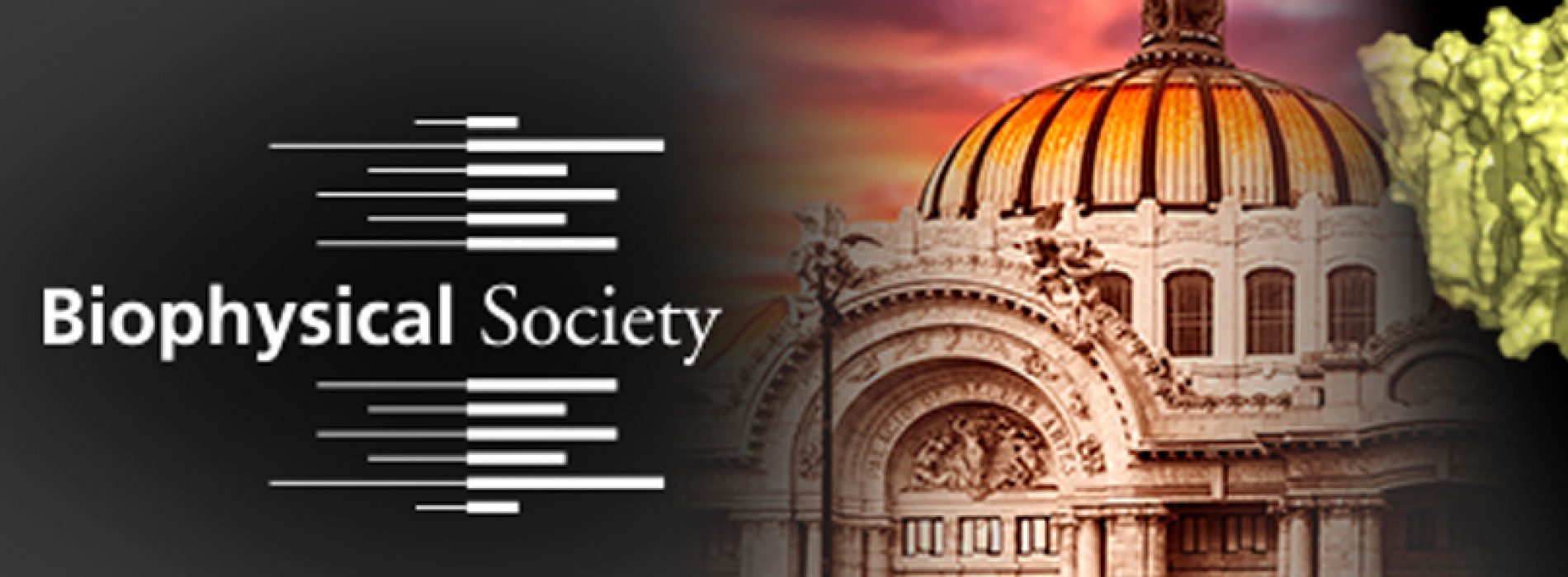August 4 – Late Abstracts Deadline for Emerging Concepts in Ion Channel Biophysics Meeting, Mexico City
