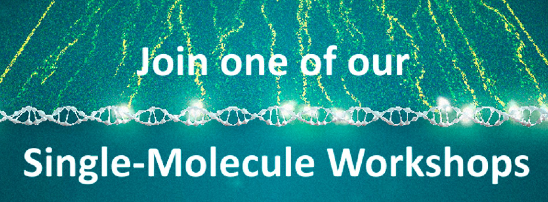 Coming up: Single-Molecule Workshops