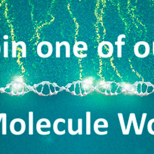 Coming up: Single-Molecule Workshops