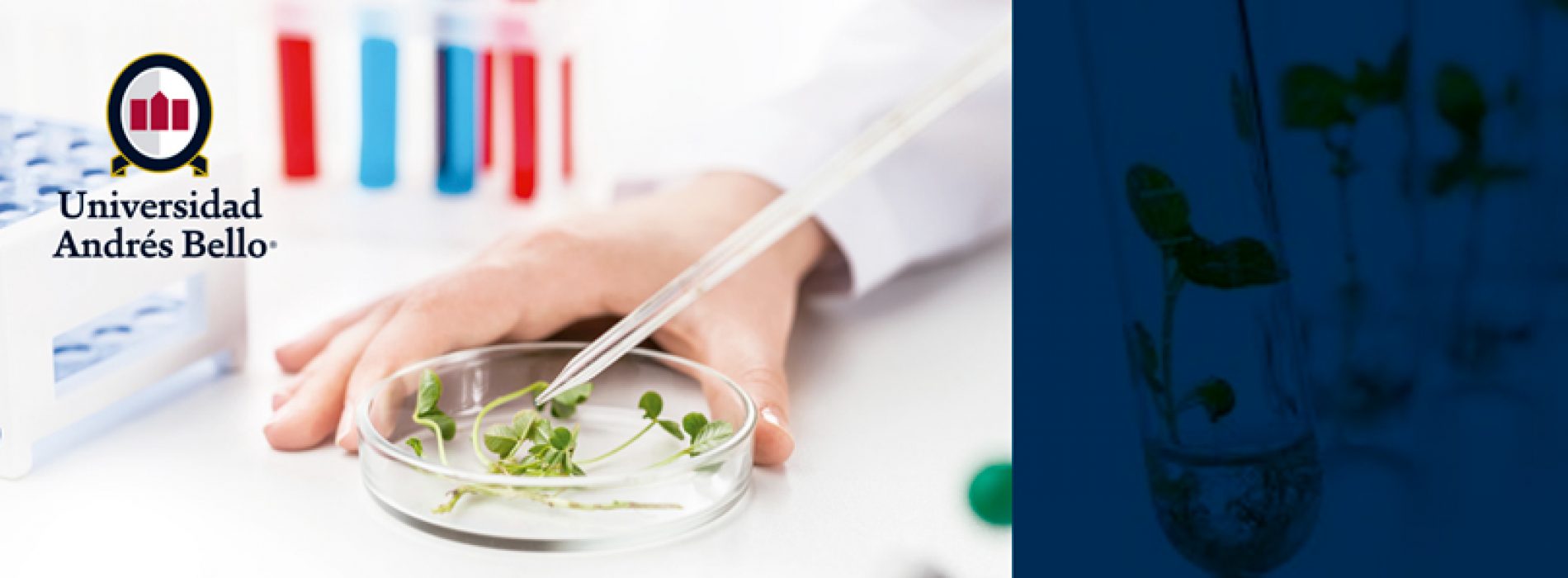 PhD in biotechnology