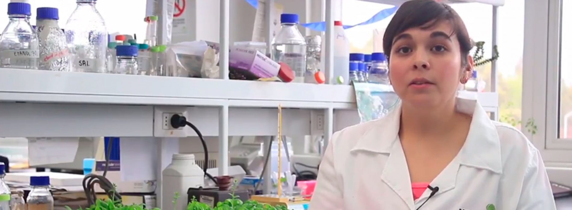 Doctorado en Ciencias, mención Ingeniería Genética Vegetal UTALCA
